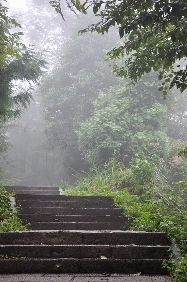 Steps in fog