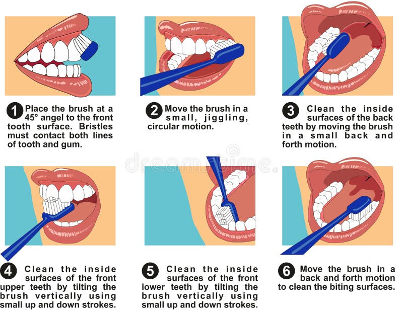 brush-teeth-steps-stock-illustrations-145-brush-teeth-steps-stock