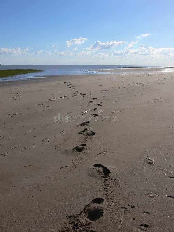 Steps in the sand