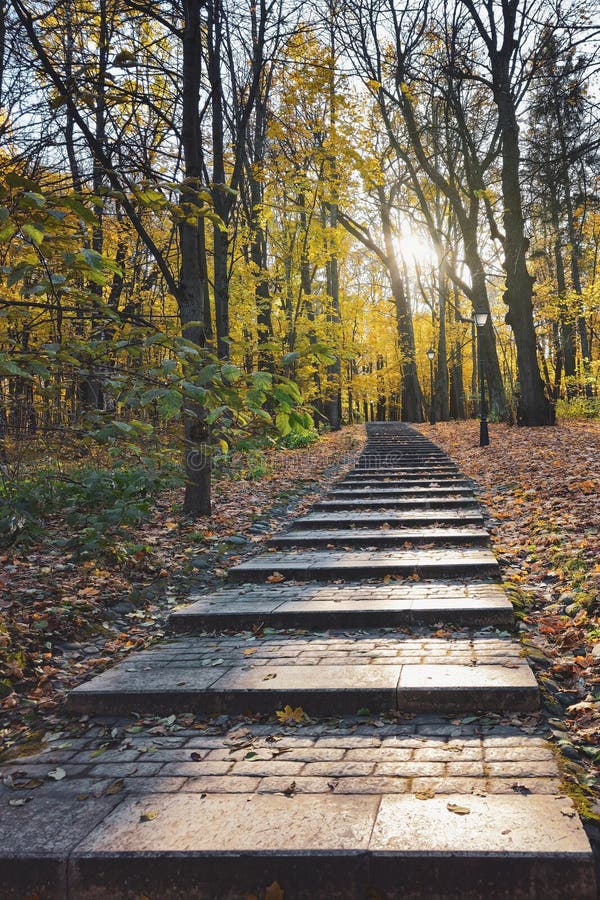 Steps, a sunny alley in the park. Vertical view royalty free stock images