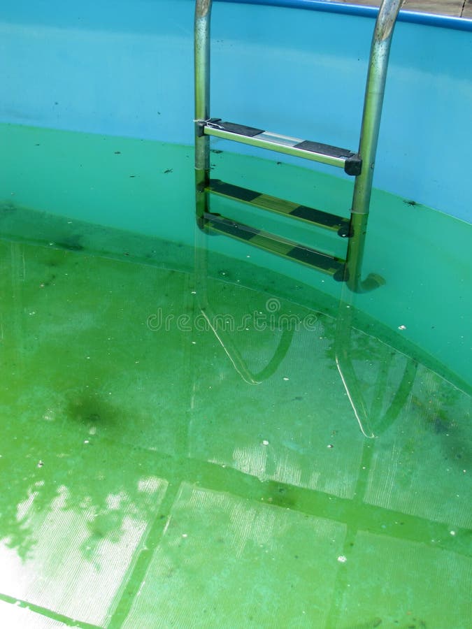 An Inground Pool With Green Algae In The Water. Stock Photo - Image of clean, algae: 116003606