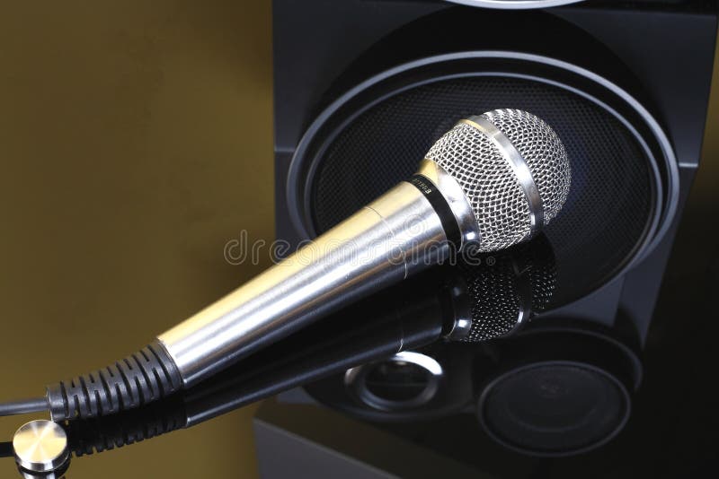 Stereo with speakers and microphone