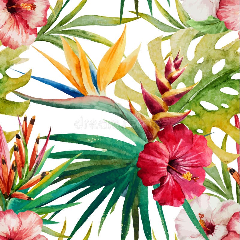 Sterlitzia tropikalny wzór royalty ilustracja Sterlitzia tropikalny wzór royalty ilustracja