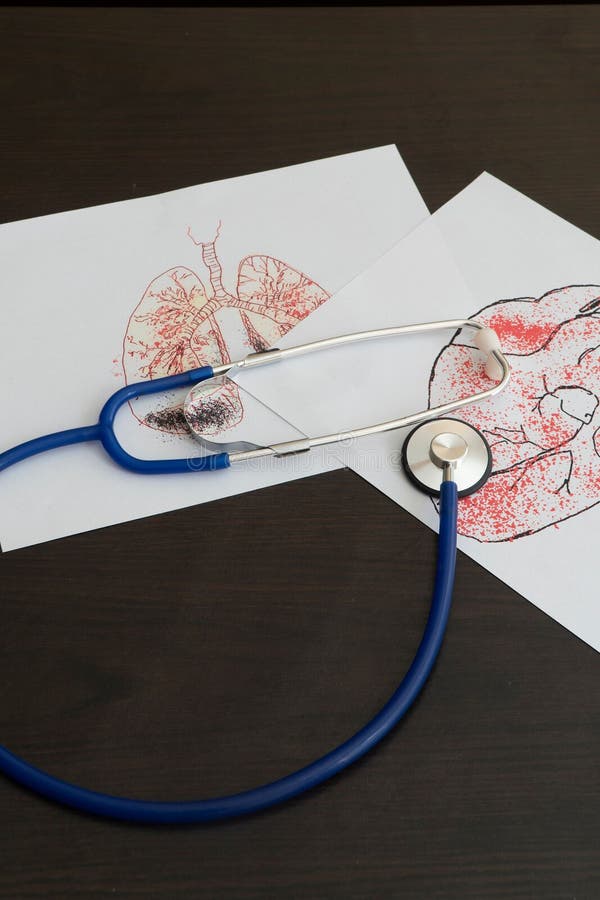 A stethoscope with medical illustrations of the respiratory and circulatory system on a table