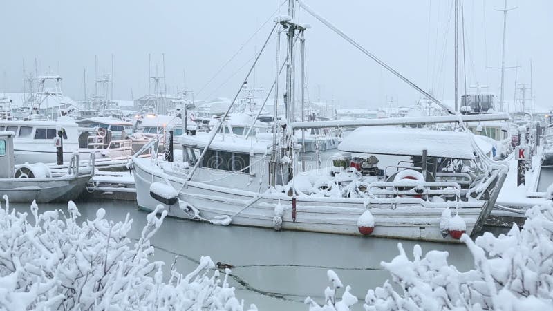 Steveston marina, ny snö