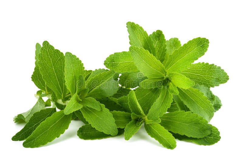 Stevia