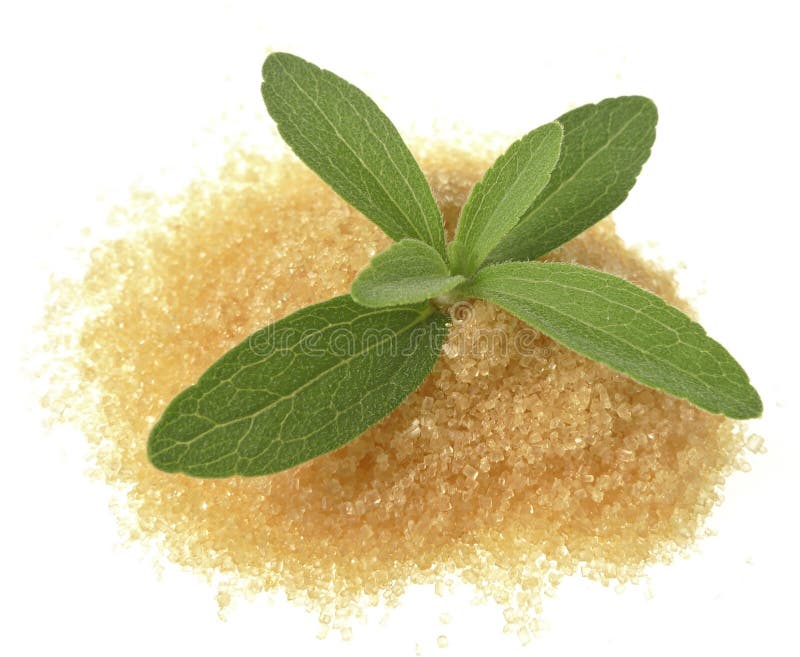 Stevia plant cutout stock image. Image of botany, diet 21266141