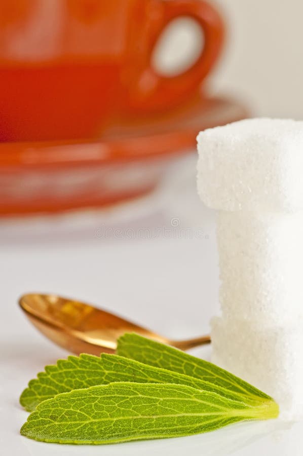 Stevia Rebaudiana, Support for Sugar Stock Photo Image of diabetes