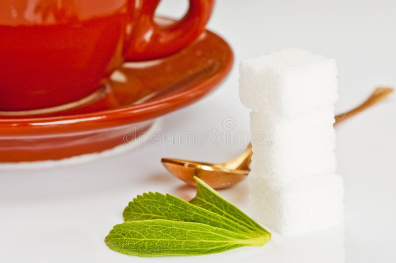 Stevia Rebaudiana, Support for Sugar Stock Photo Image of diabetes