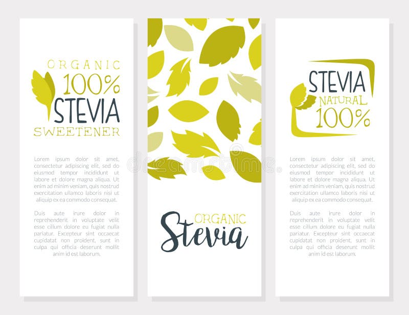 Stevia som organisk vektormall för ört och växtbanderoll stock illustrationer