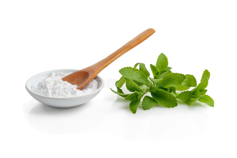 Stevia or Sweet Herb