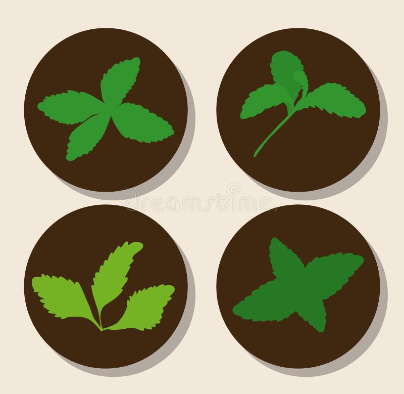 Steviabegreppsdesign stock illustrationer