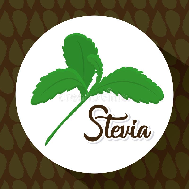 Steviabegreppsdesign vektor illustrationer