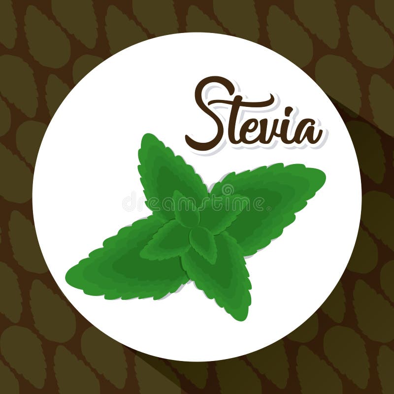 Steviabegreppsdesign stock illustrationer