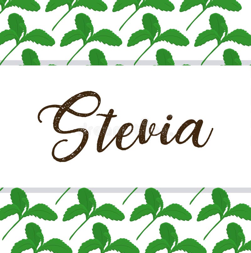 Steviabegreppsdesign royaltyfri illustrationer