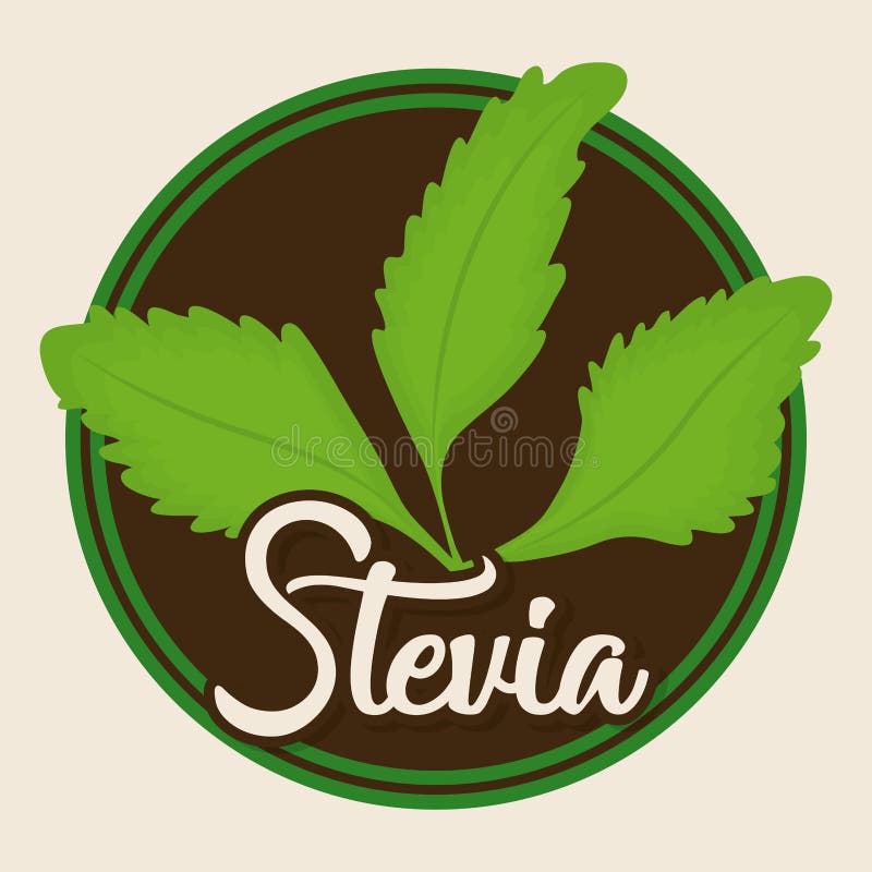 Steviabegreppsdesign vektor illustrationer