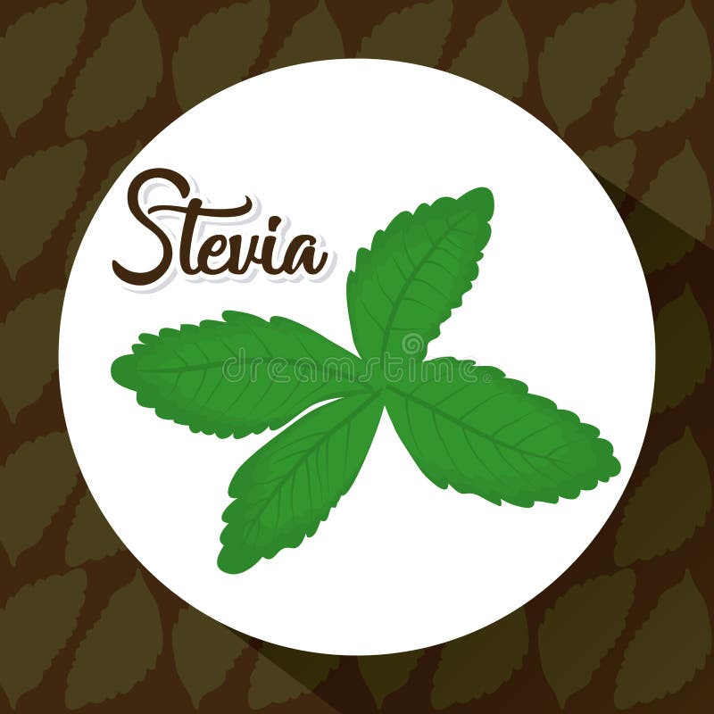 Steviabegreppsdesign stock illustrationer