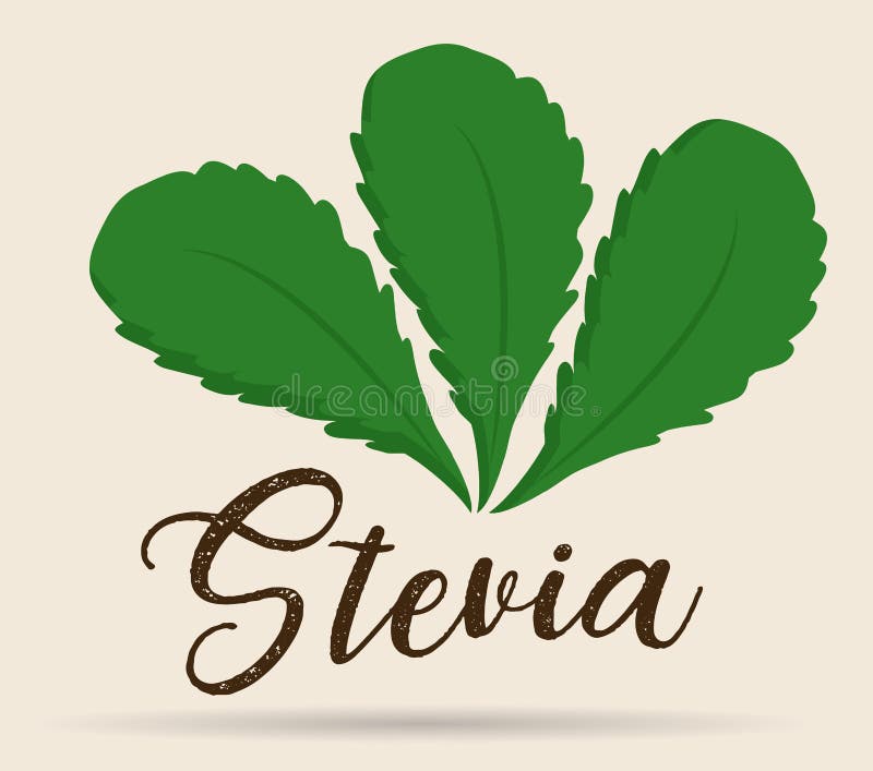 Steviabegreppsdesign royaltyfri illustrationer