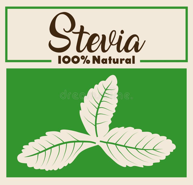 Steviabegreppsdesign vektor illustrationer