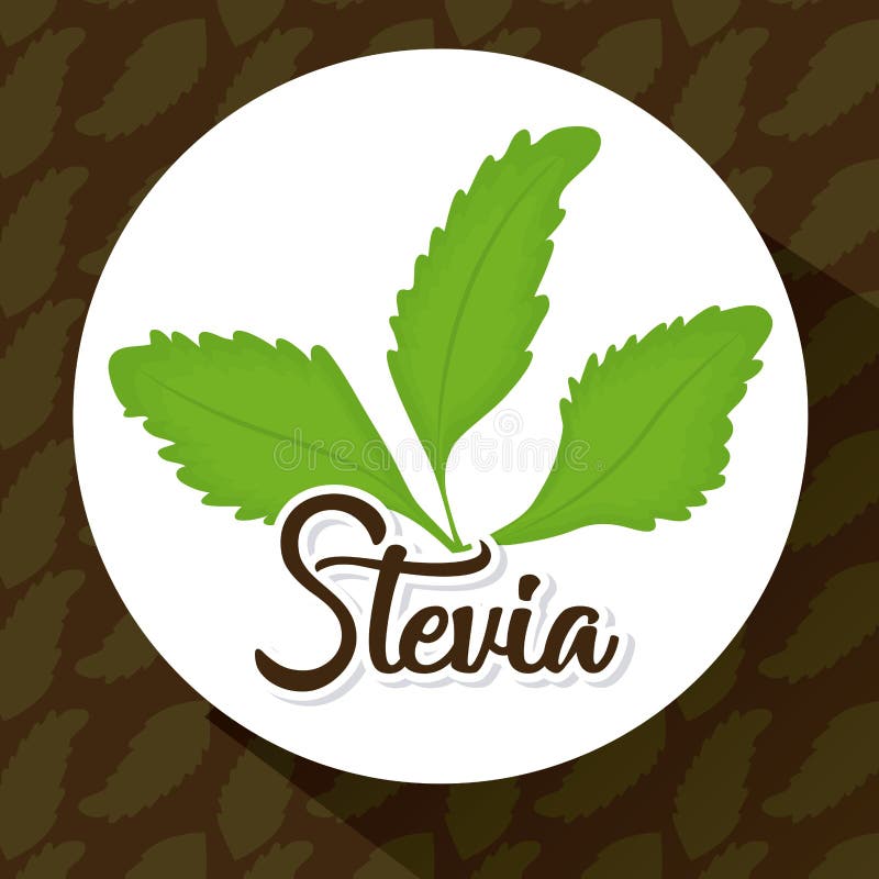 Steviabegreppsdesign vektor illustrationer