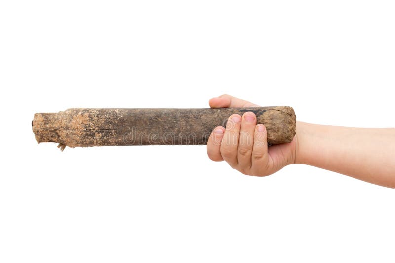 Stick in Children`s Hand on White Stock Photo Image of hold, finger