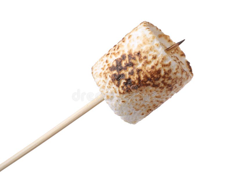 Stick with Roasted Marshmallow on White Stock Image Image of