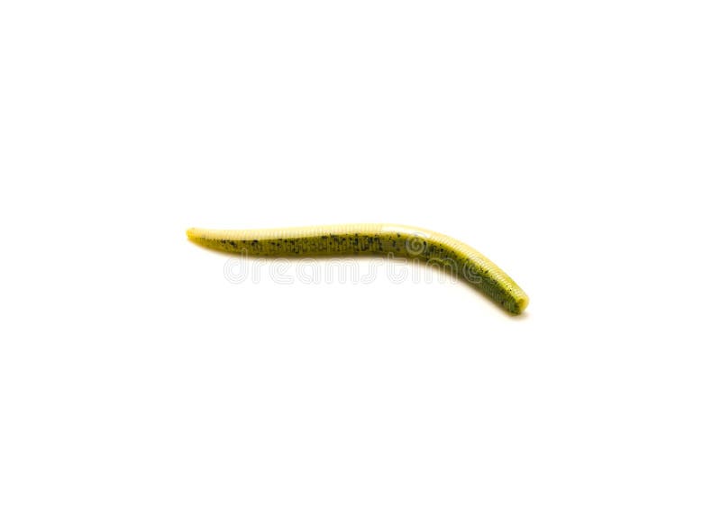 Stick Worm in Green Pumpkin with Black Flake Color Isolated on White Stock  Photo - Image of hobby, casting: 232088076