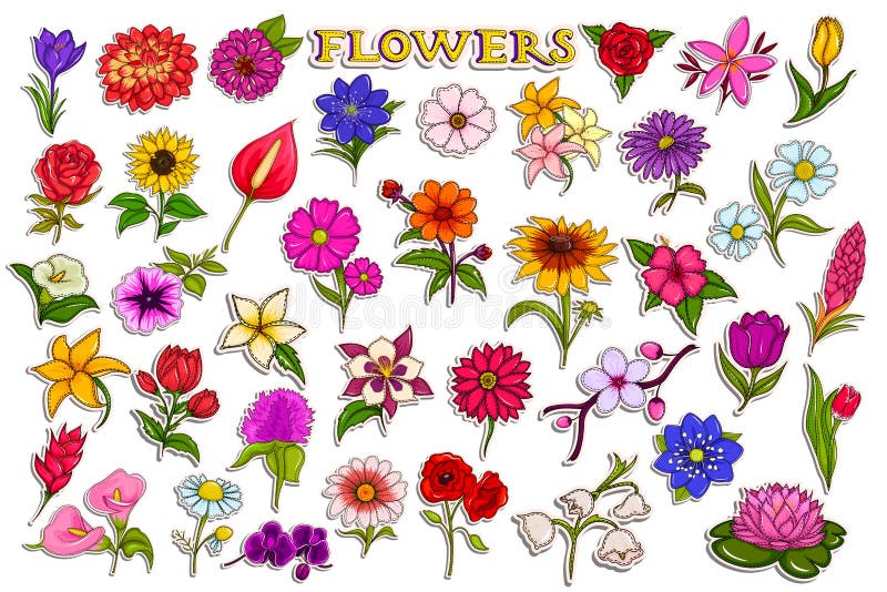 Stickerinzameling voor kleurrijke verse bloem vector illustratie Stickerinzameling voor kleurrijke verse bloem vector illustratie