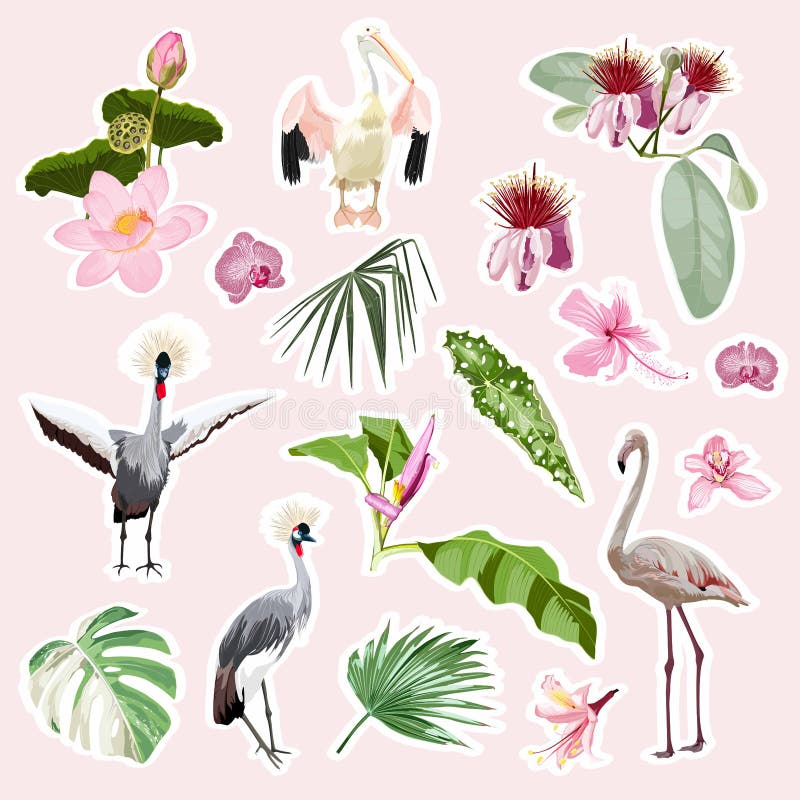 Flamingo, pelicane, crane birds, cute animals, tropical flowers. Set of cartoon stickers.