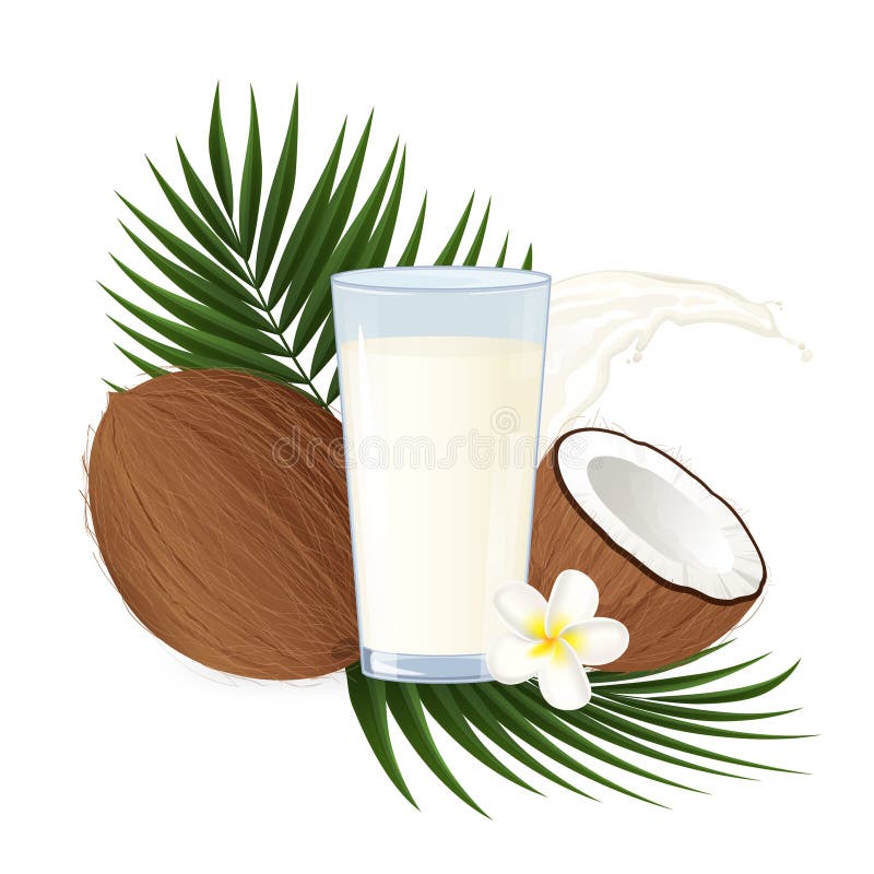 Sticlă de lapte de nucă de cocos cu lapte integral de nucă de cocos și frunze de palmier vector illustration