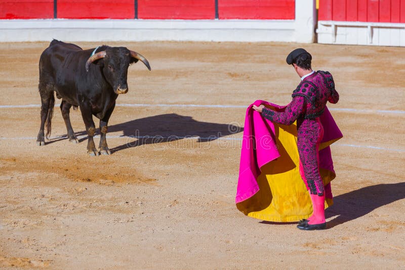 Matador and bull on tourada bullfight in Moita - Lisbon Portugal. Matador and bull on tourada bullfight in Moita - Lisbon Portugal