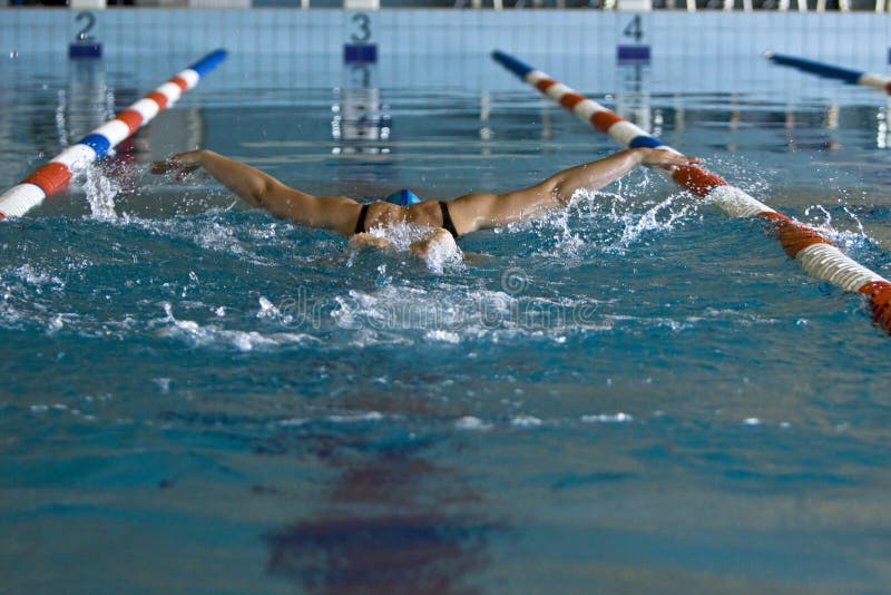 Woman with butterfly stroke,from behind. Woman with butterfly stroke,from behind