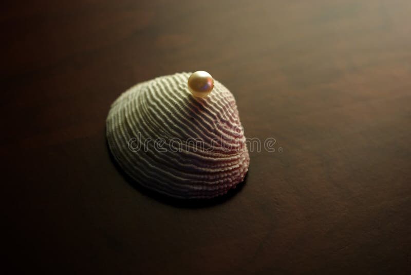 Stilisiert Shell mit Perle