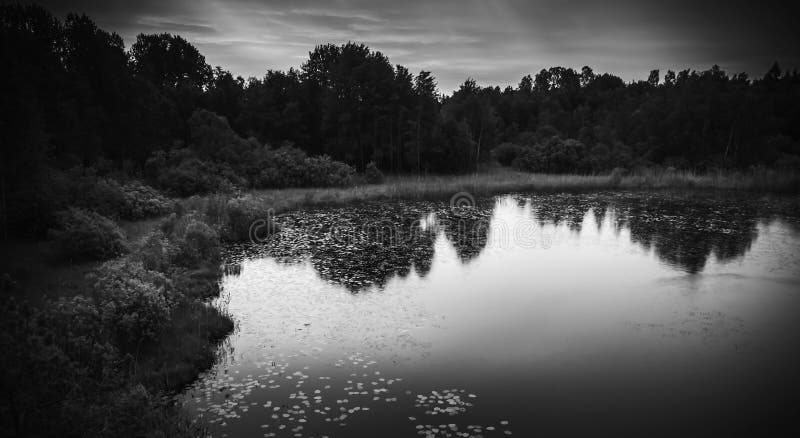 Still lake black and white landscape at night royalty free stock photos Still lake black and white landscape at night royalty free stock photos
