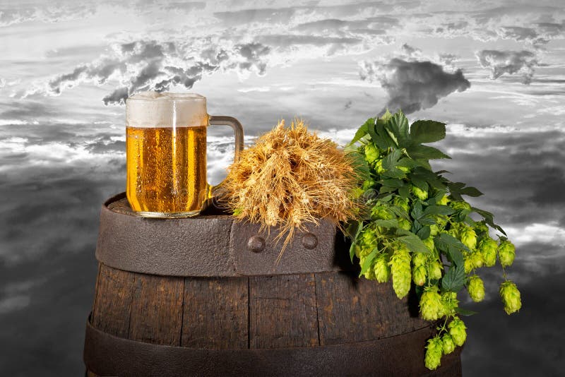 Beer,hops and wheat stock photo. Image of retro, barrel 126167136