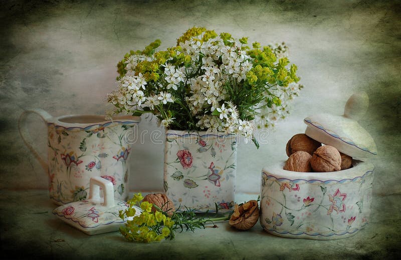 Still life with a bird cherry tree and nuts