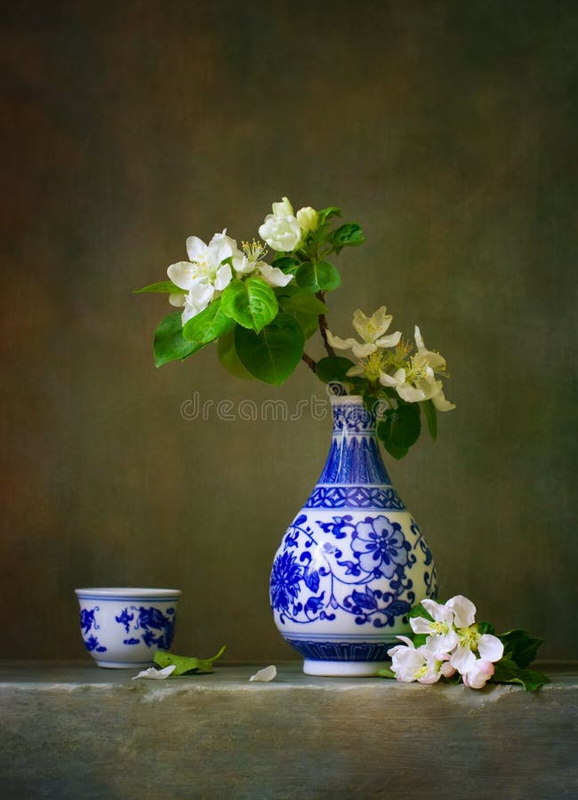 Still life with blooming apple stock images