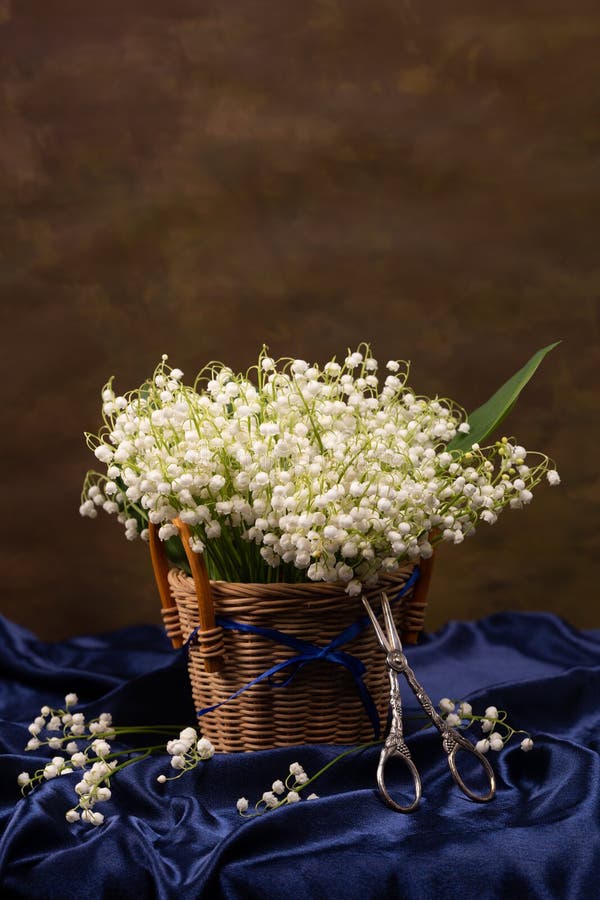 Still Life with a Bouquet of Lilies of the Valley in a Basket Stock Photo Image of natural