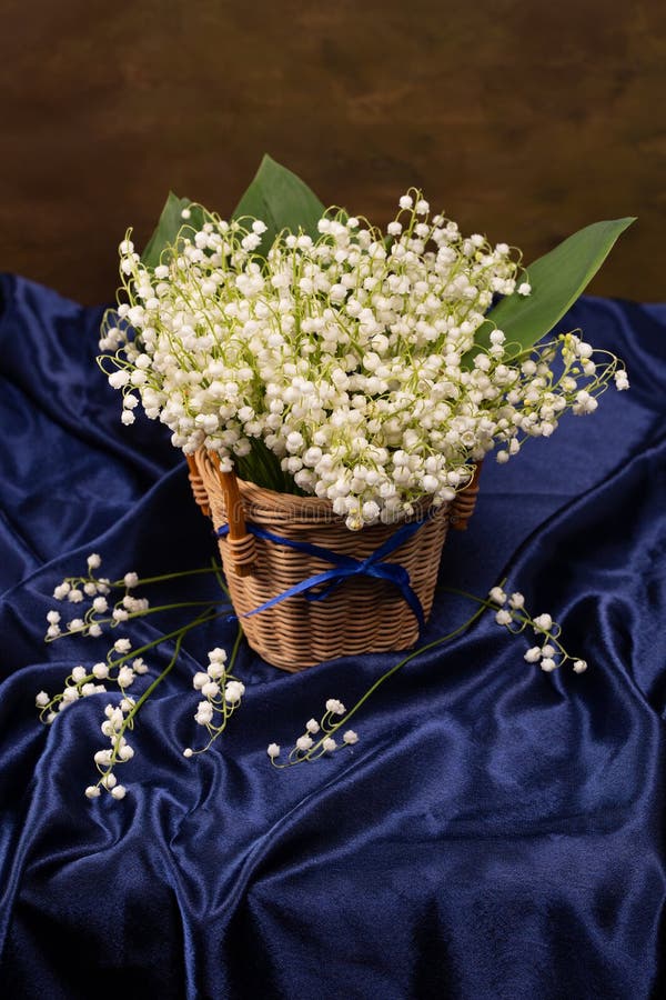 Still Life with a Bouquet of Lilies of the Valley in a Basket Stock Image Image of place
