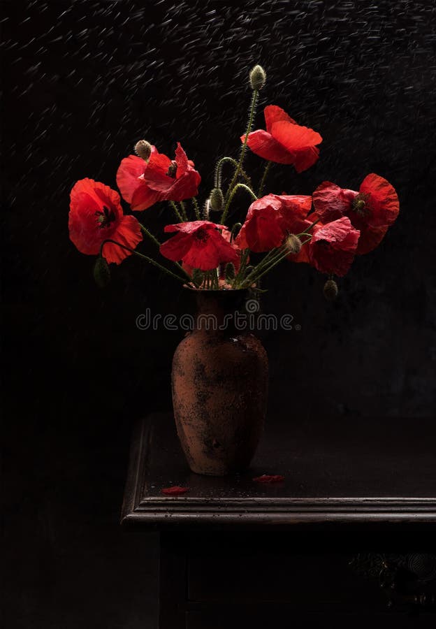 Still life bouquet red poppies in a vase stock image Still life bouquet red poppies in a vase stock image
