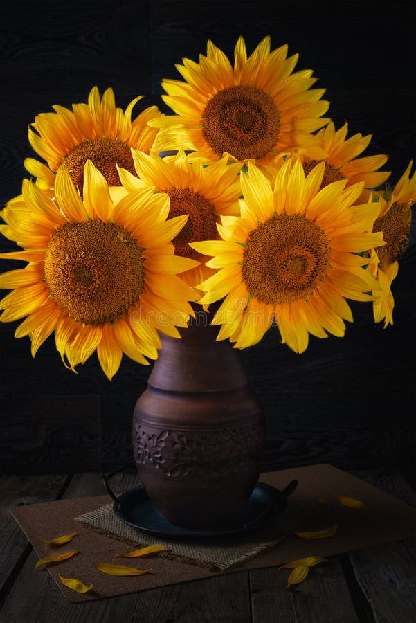 Still Life with a Bouquet of Sunflowers in a Vase Stock Image Image