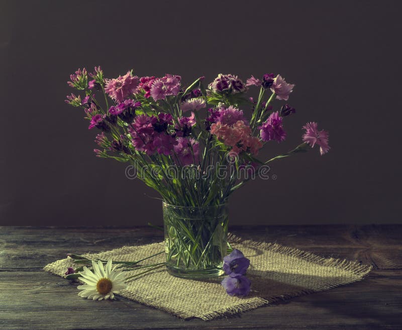 Still Life with Carnation Flowers Stock Image Image of botany