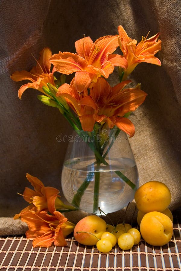 Still life with day-lily