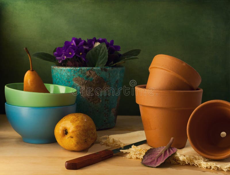 Still life with flower pots