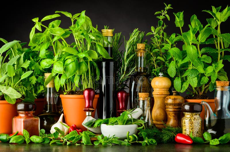 https://thumbs.dreamstime.com/b/still-life-fresh-cooking-ingredients-herbs-sill-green-basil-parsley-pestle-mortar-mezzaluna-herb-chopper-kitchen-94063362.jpg