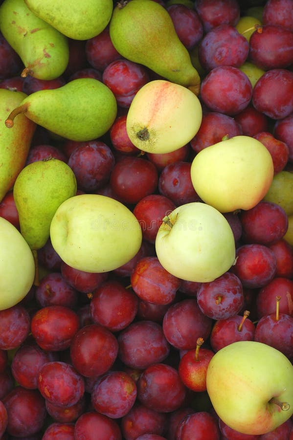 Still-life with fruits