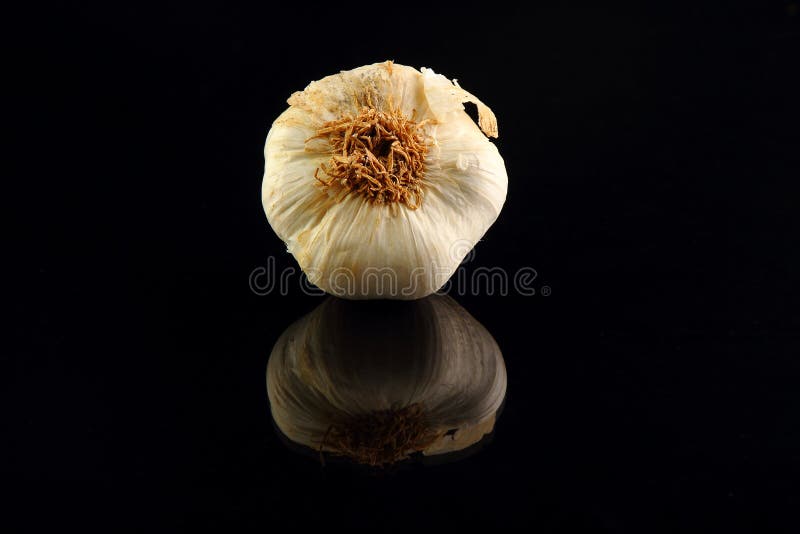 Still life of garlic bulb in dark black background with copy space, royalty free stock photos Still life of garlic bulb in dark black background with copy space, royalty free stock photos