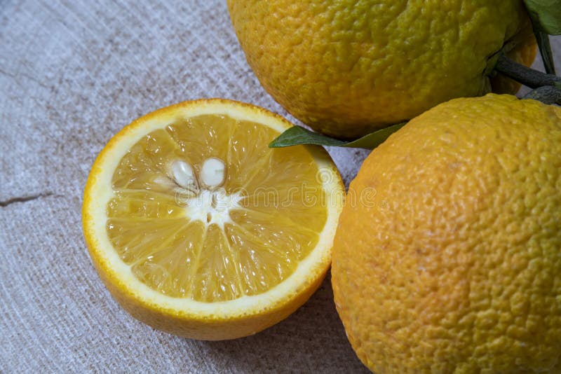 Still life. Half and whole ripe orange fruits close-up royalty free stock photo Still life. Half and whole ripe orange fruits close-up royalty free stock photo