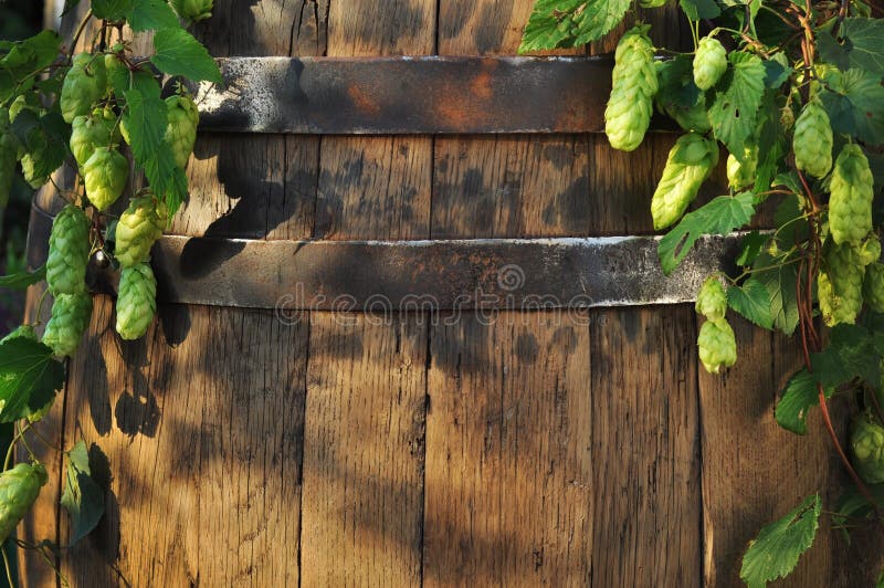 Still Life with a Keg of Beer Stock Image Image of brewed, lager