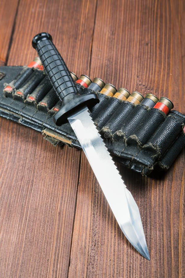 Bandolier. stock image. Image of bandolier, caliber, safety 17730471